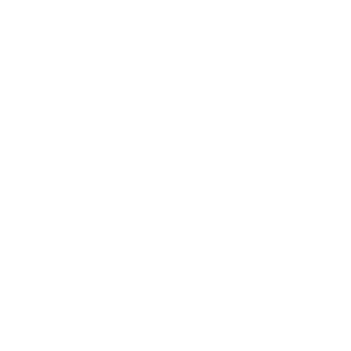 Values Icon